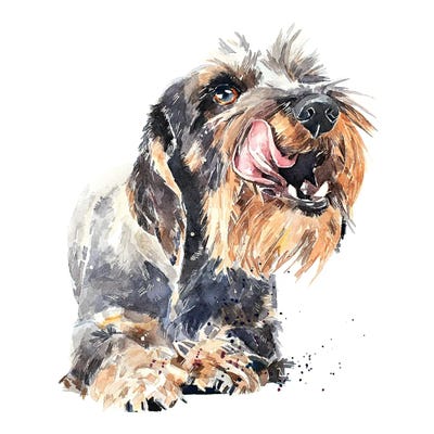 Long Haired Dachshund Art Print Dog Contemporary Abstract Watercolor Wall Decor 